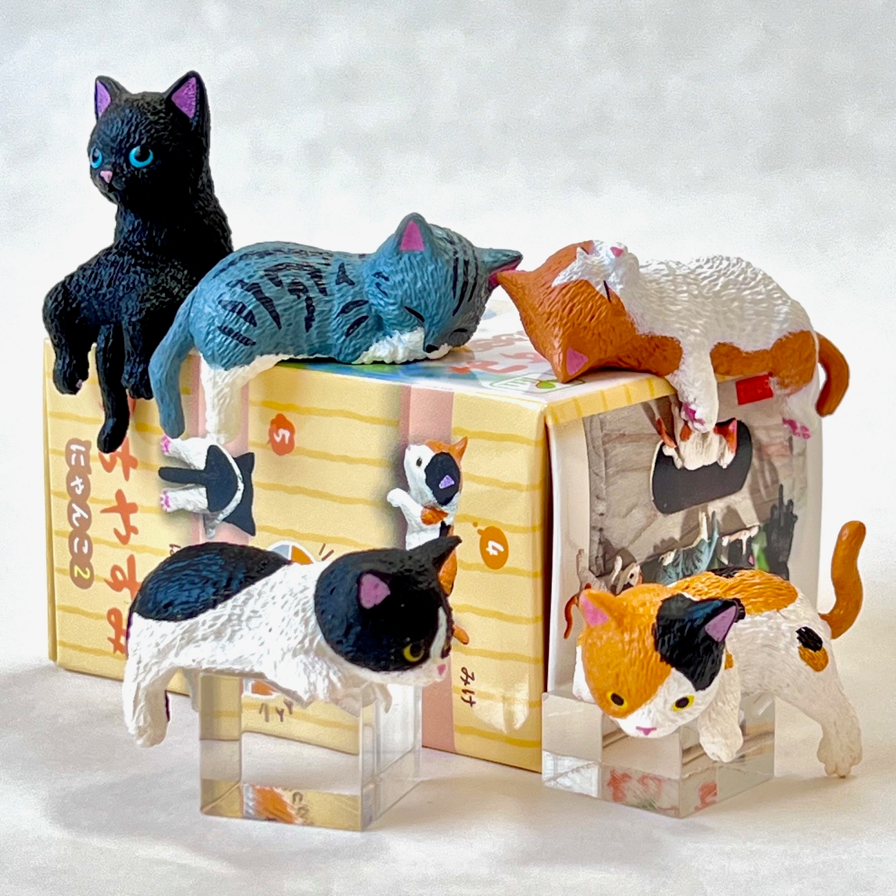 Resting cat Blind Box
