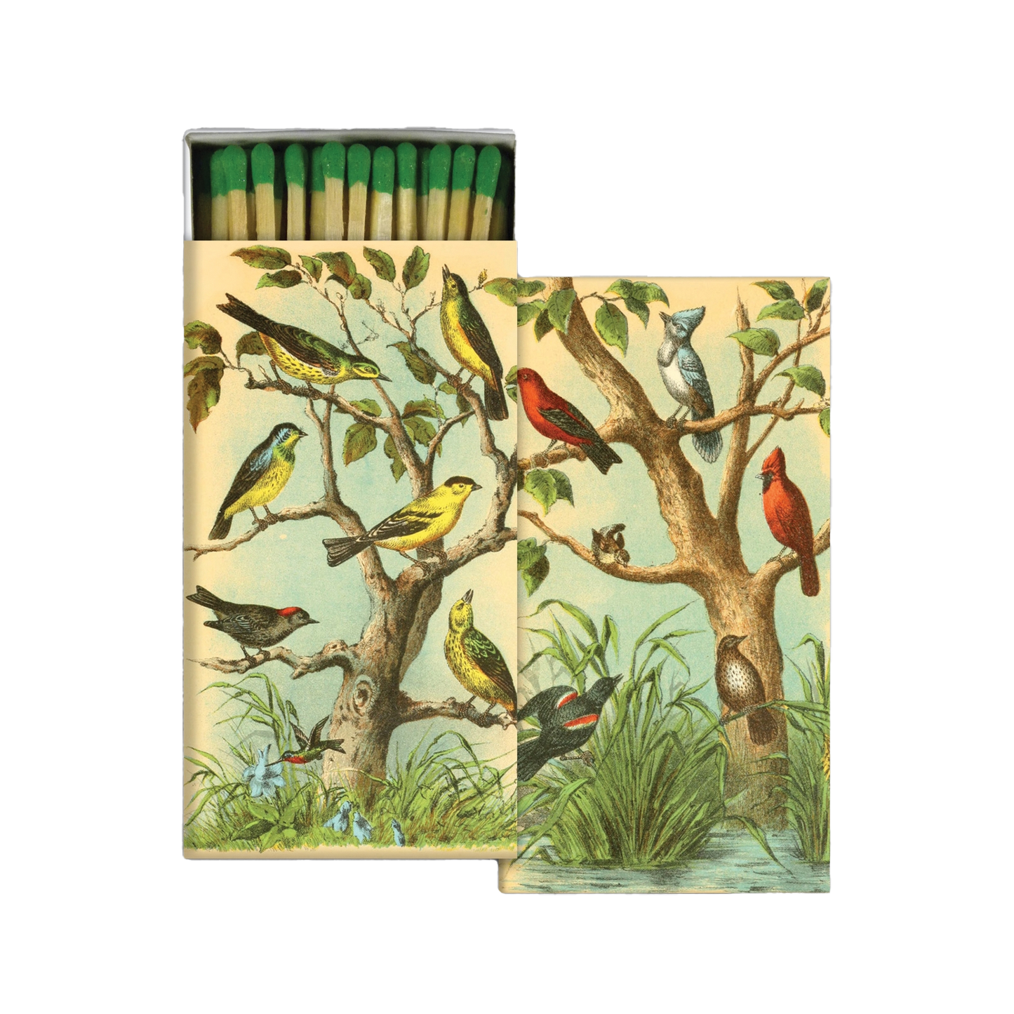 Bird Studies Matches