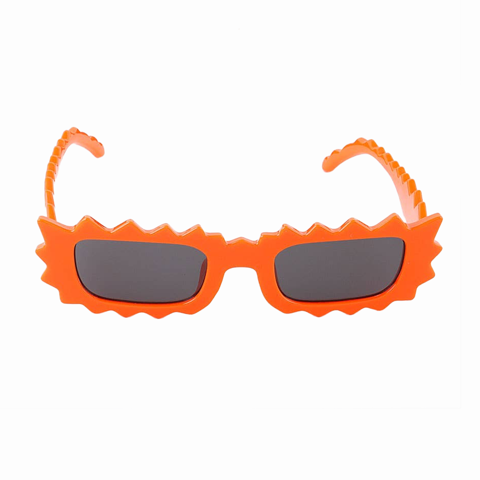 Diverse Vision Sunglasses