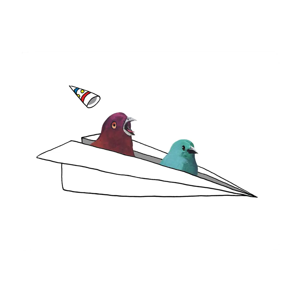 Airplane Birds Birthday Card