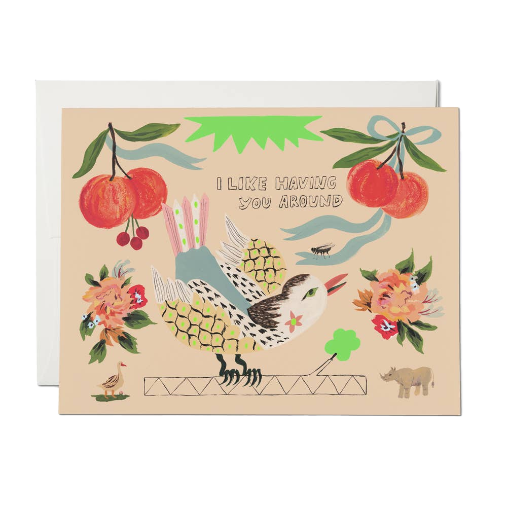 Bird and Fly Greeting Card