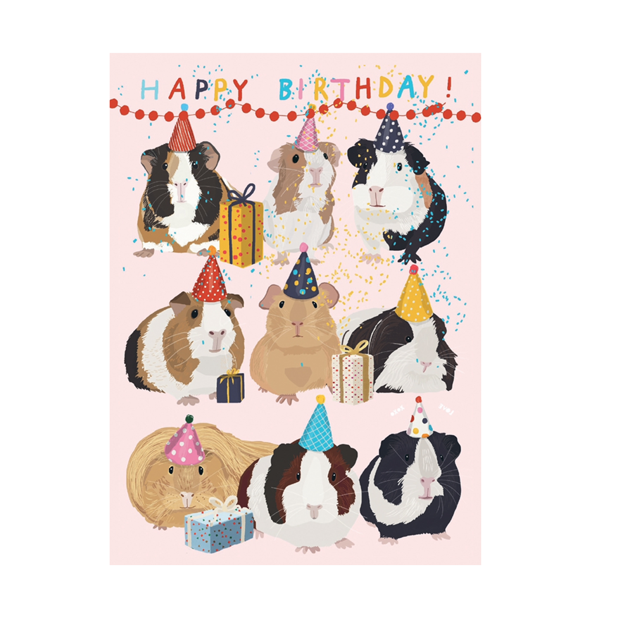 Birthday Guineas Birthday Card