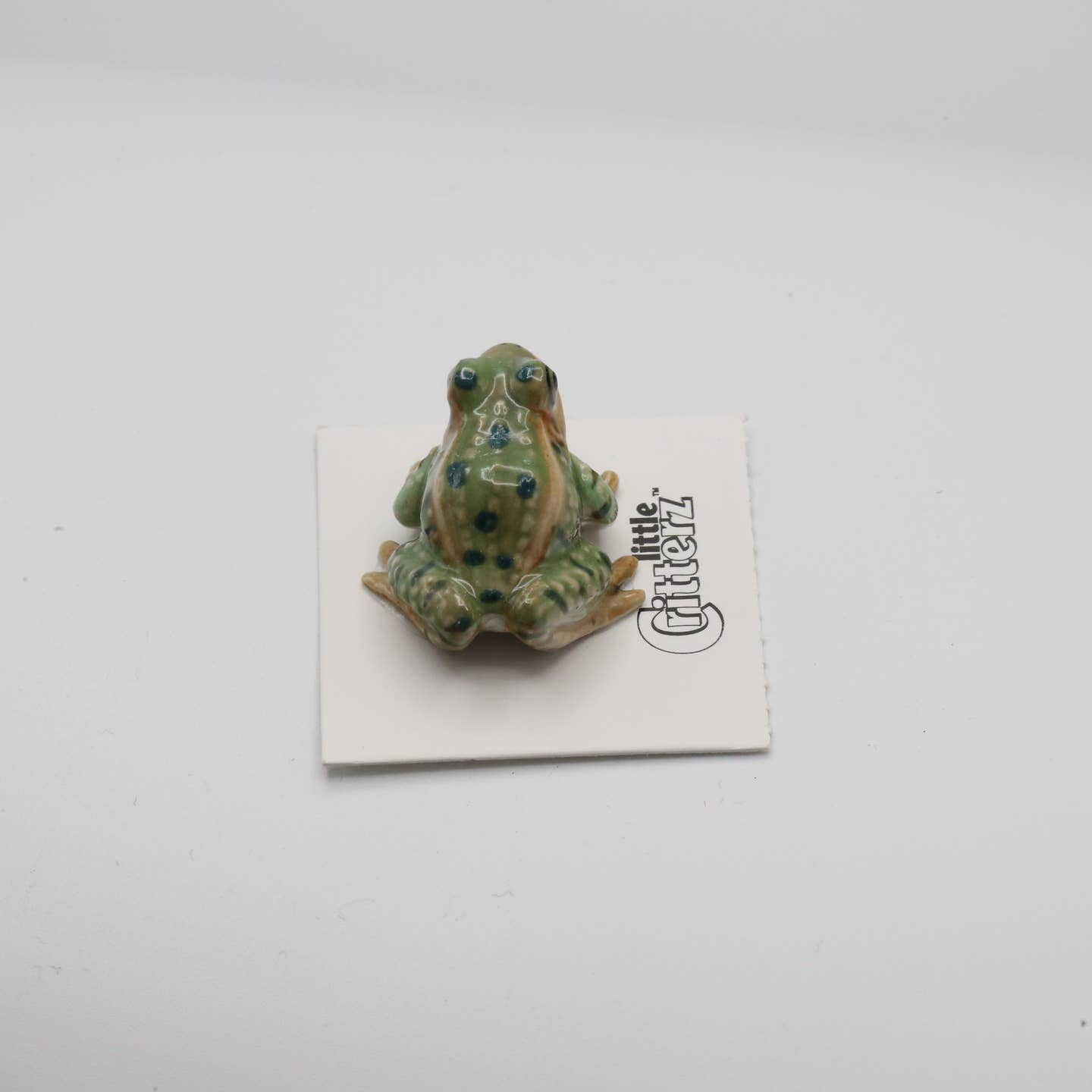 Rana Leopard Frog Porcelain Miniature