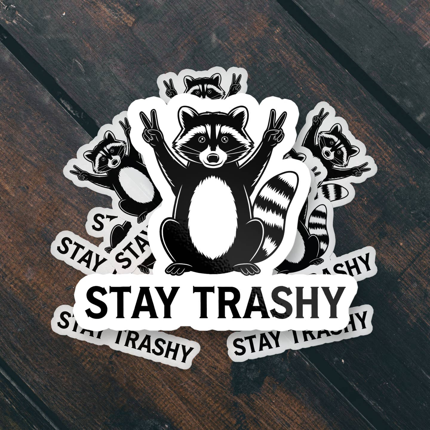 Stay Trashy Raccoon Vinyl Waterproof Sticker