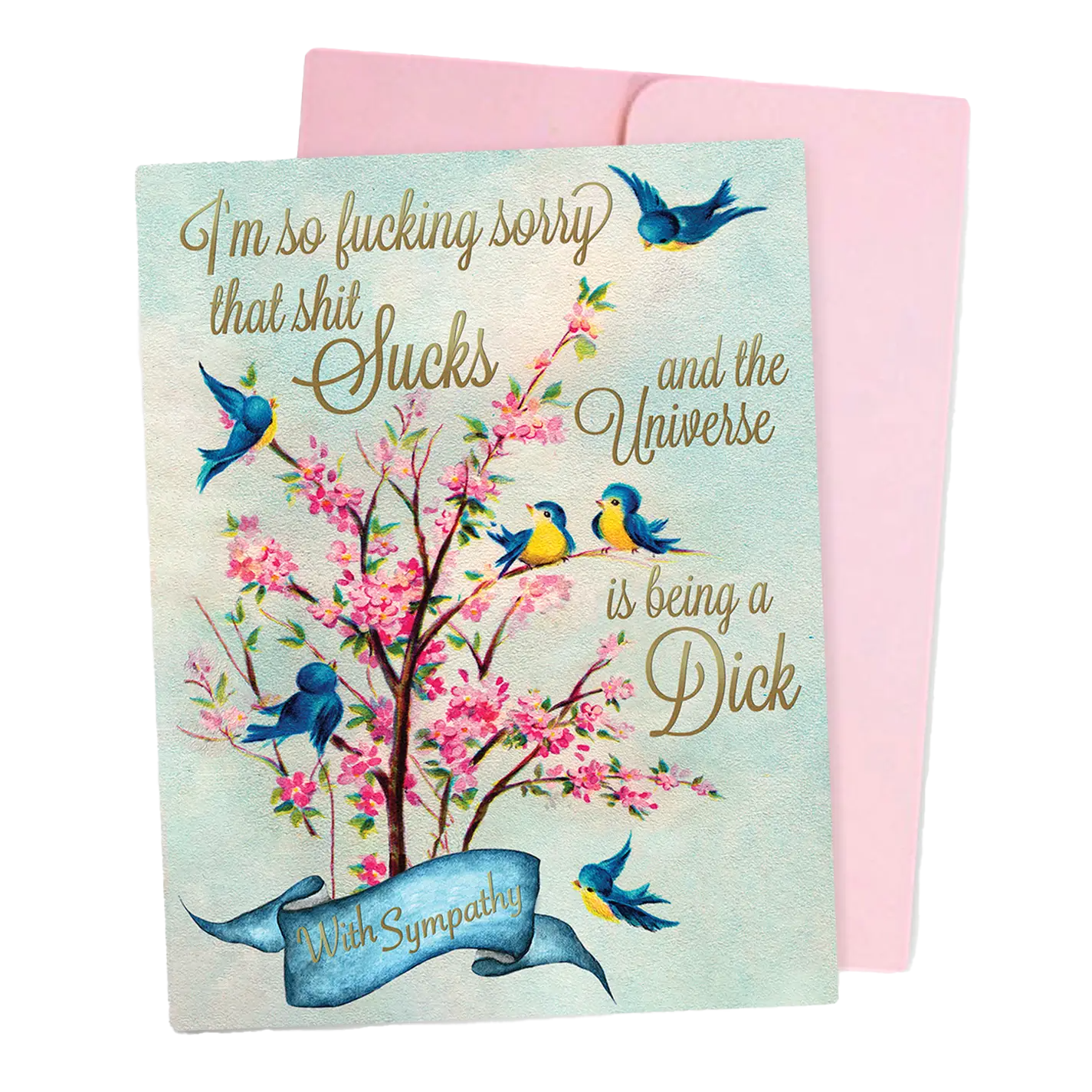 I'm Sorry the Universe Is Being a Dick sympathy Card