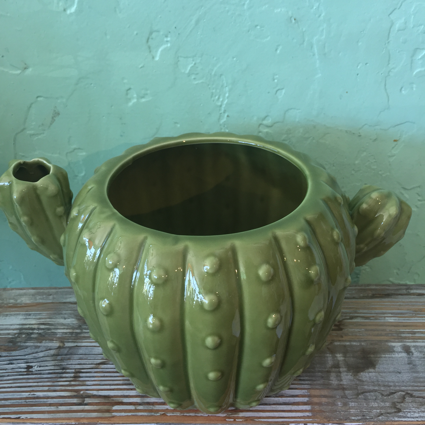 green saguaro cactus planter