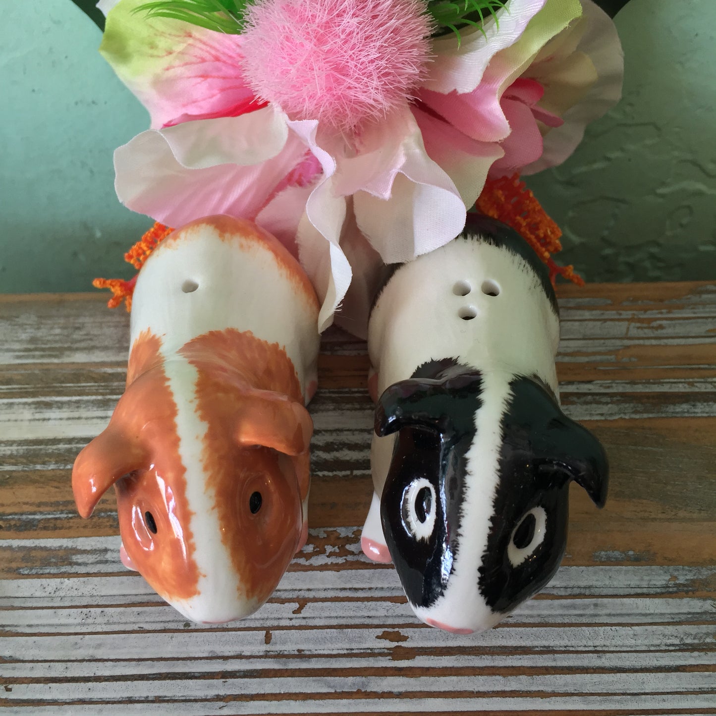 Guinea Pig Salt & Pepper Shakers