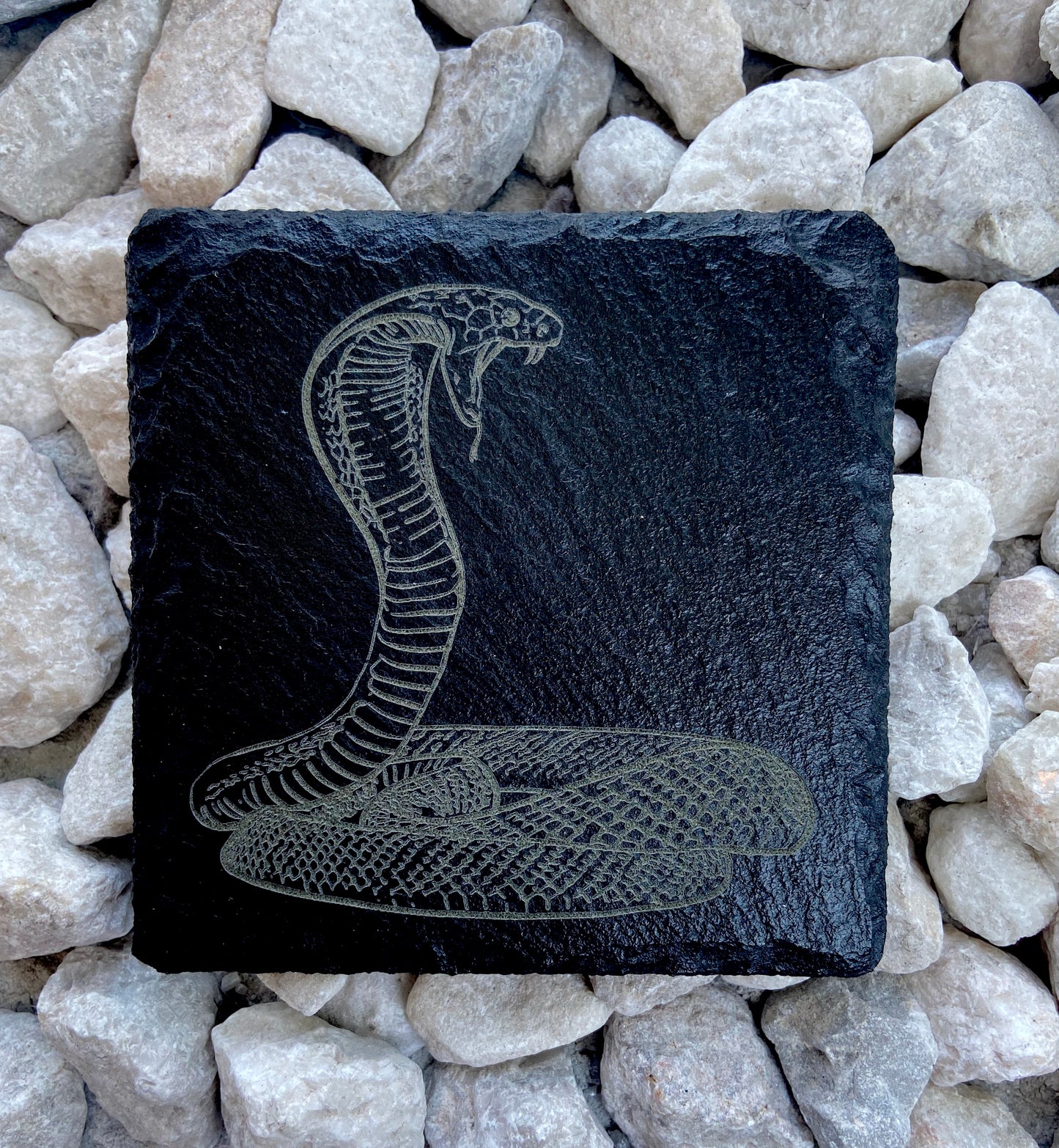 cobra snake laser etched slate coaster
