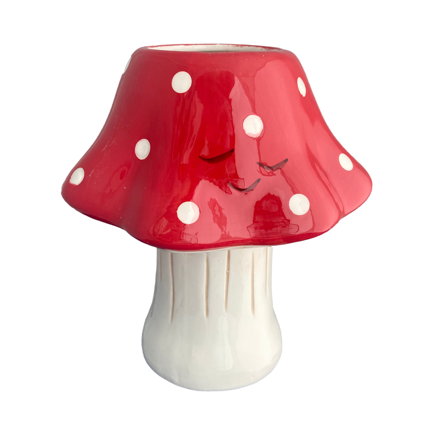 kawaii mushroom planter