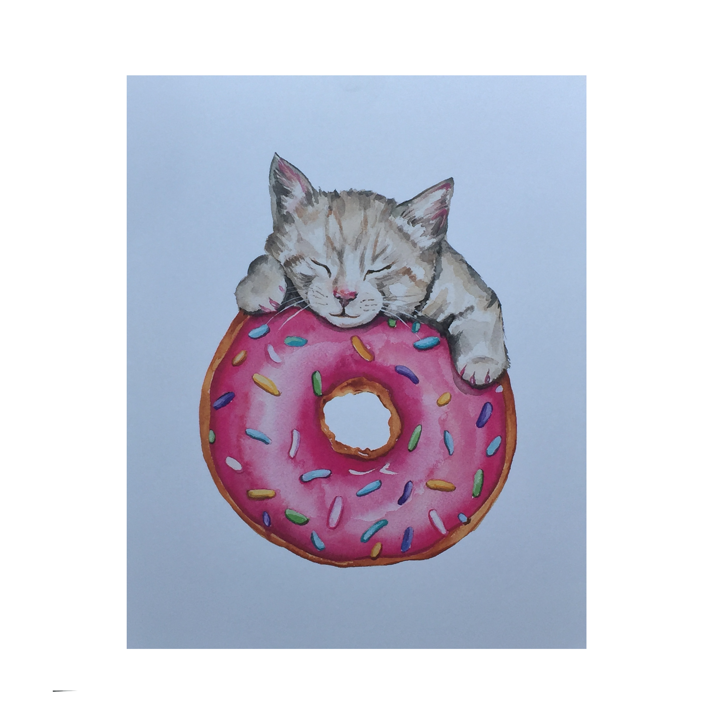 Doughnut cat outlet