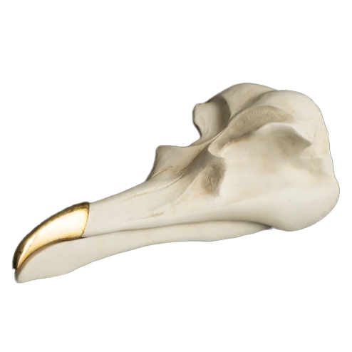 Gothic Bird Skull Jewelry Holder