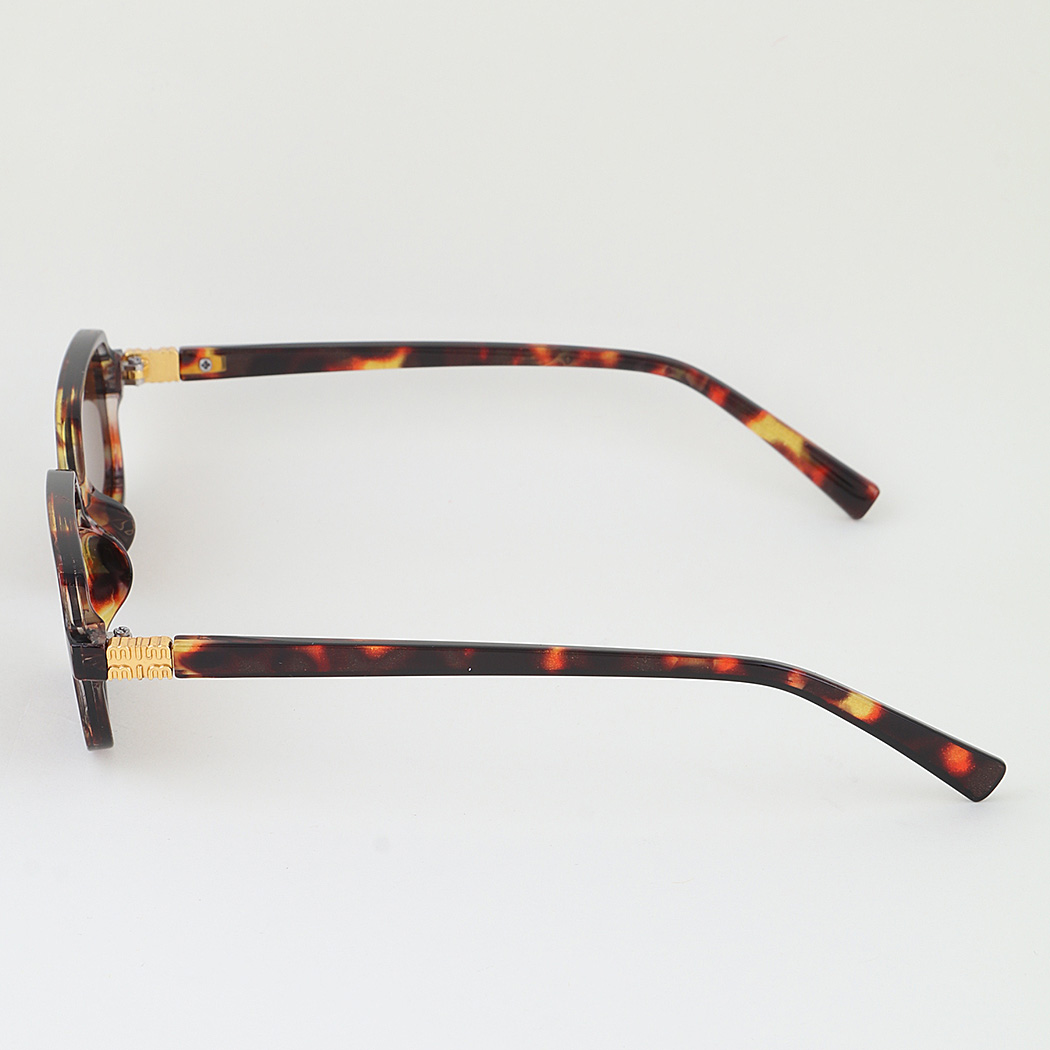 Minimal Tinted Sunglasses