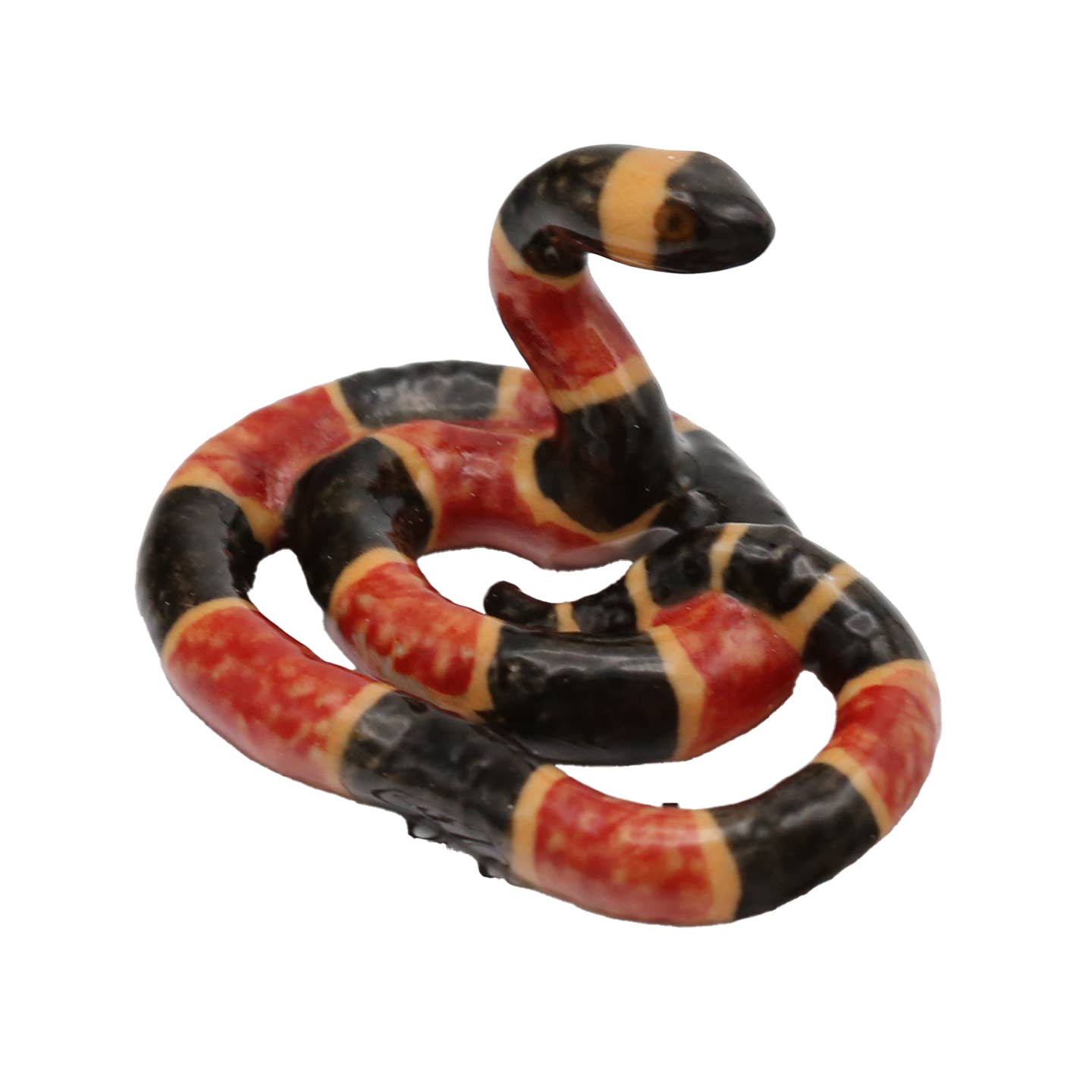 "Rhyme" Coral Snake Porcelain Miniature