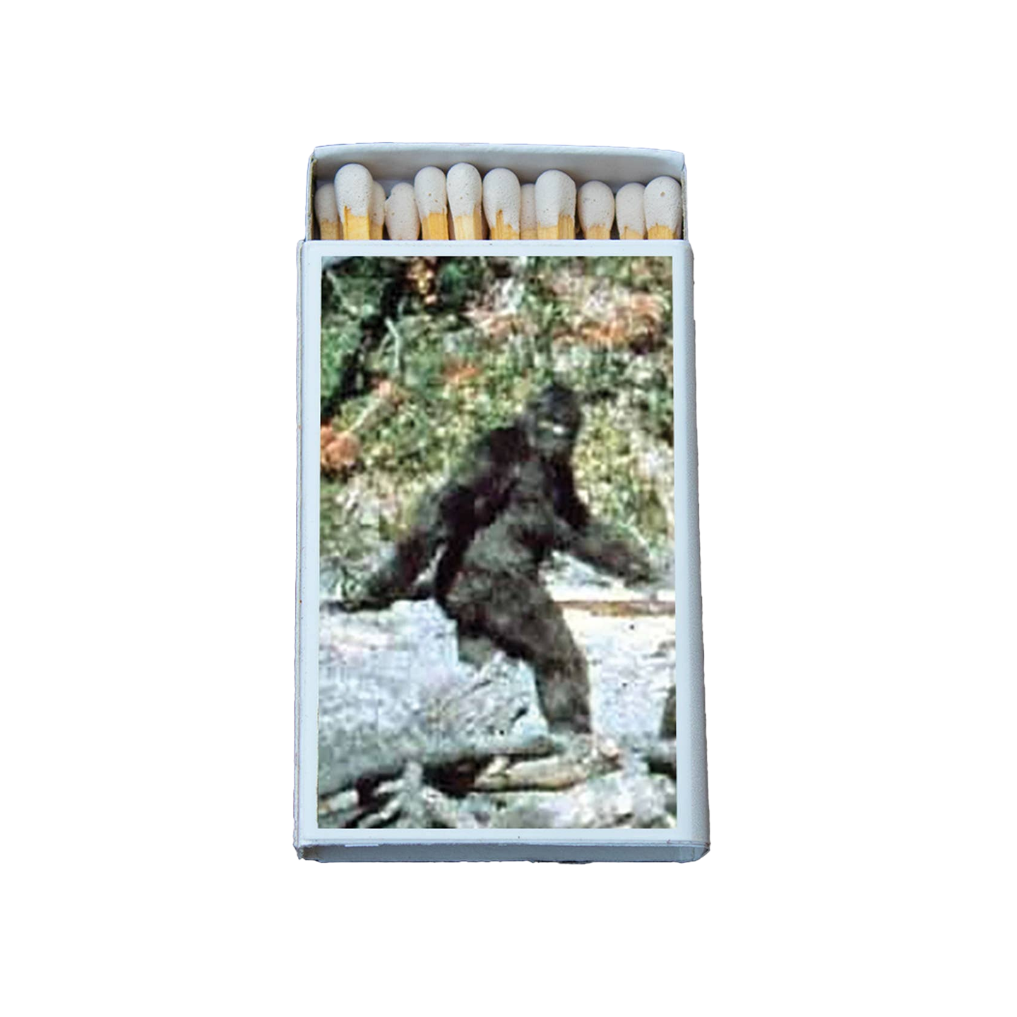 Big Foot Matches
