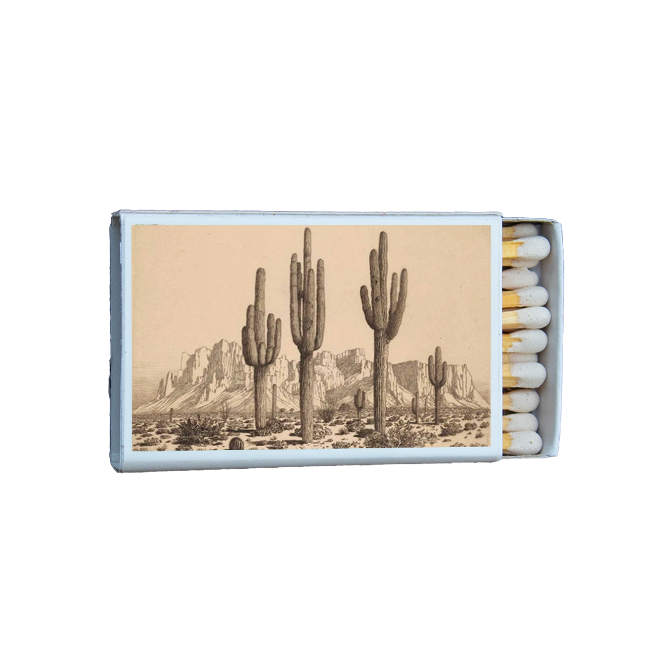 Cacti Arizona Matches