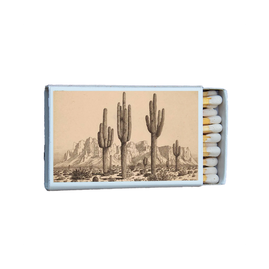 Cacti Arizona Matches