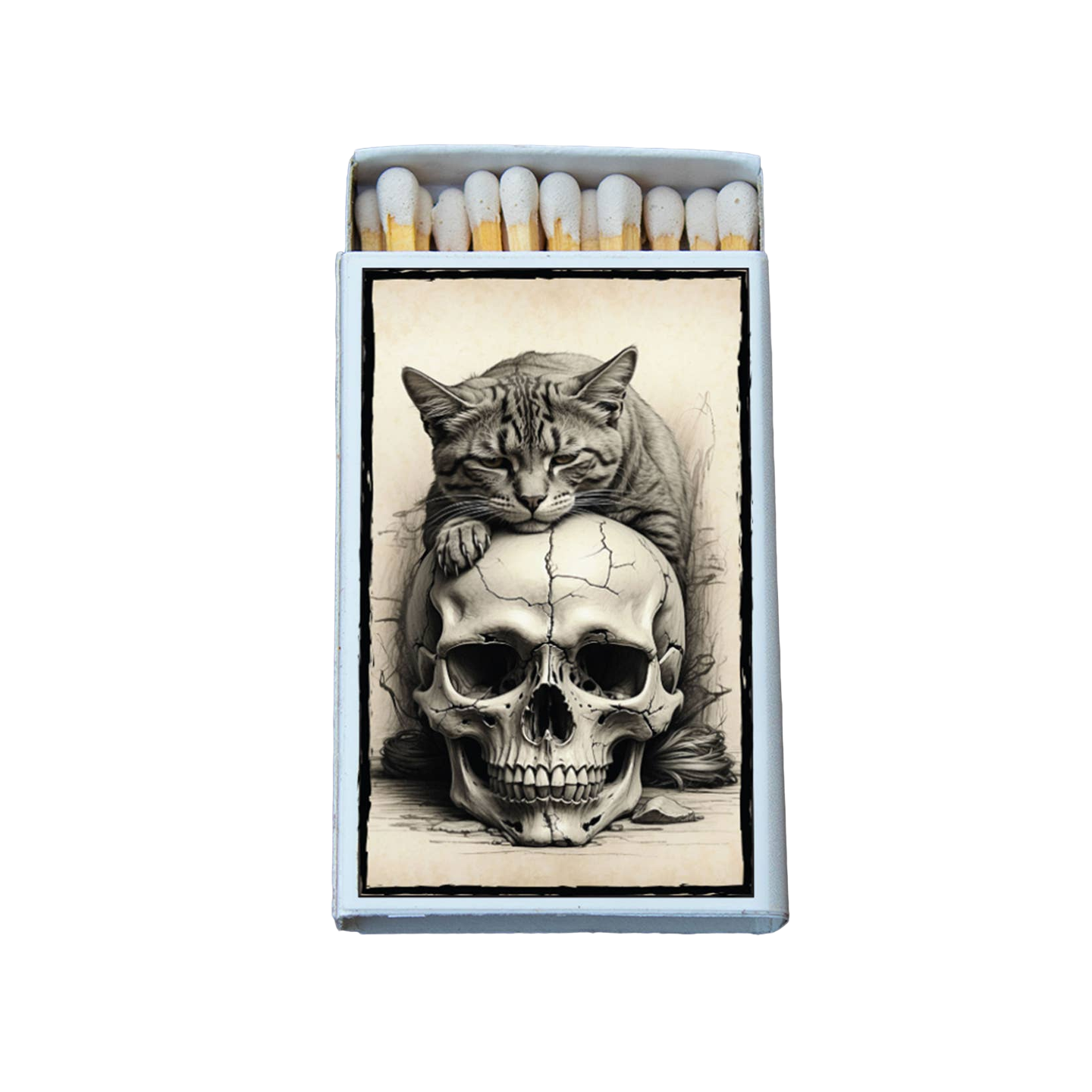 Cat On Skull Matches