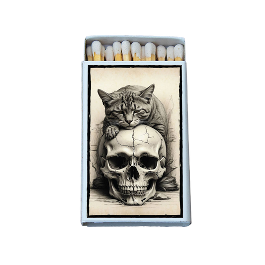 Cat On Skull Matches