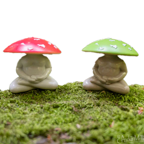 Meditating Mushrooms