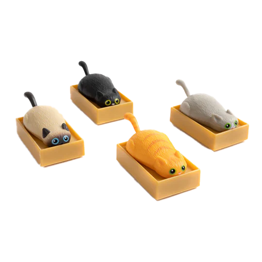 Racing Cats In Boxes