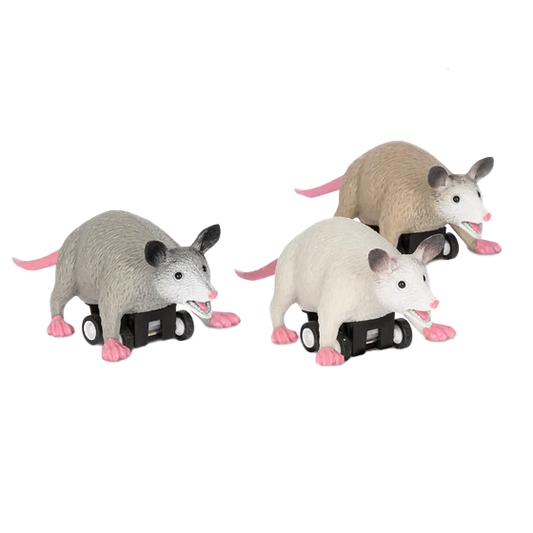 Racing Possums