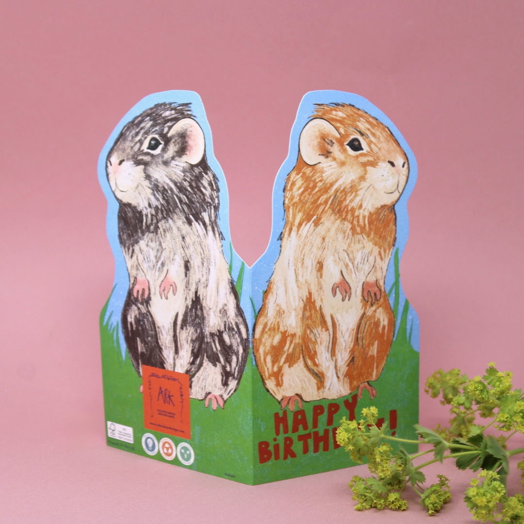 Guinea Pig Shaped Birthday Card