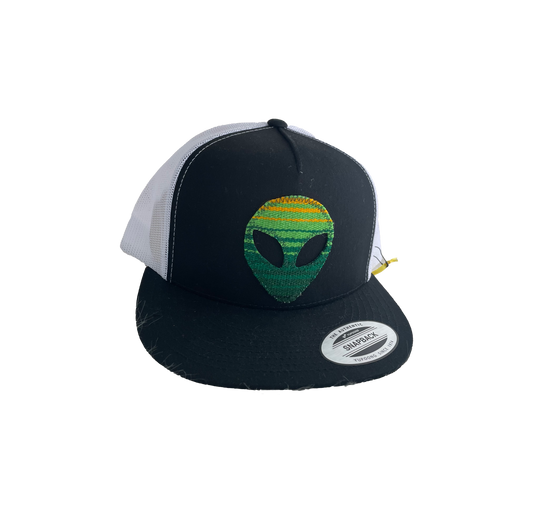 Alien Serape Snapback
