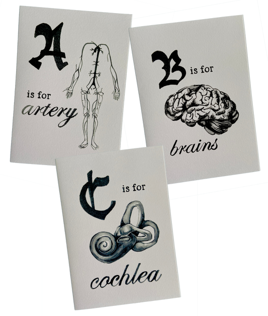 Anatomy Greeting Cards A-Q