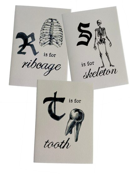 Anatomy Greeting Cards R-Z