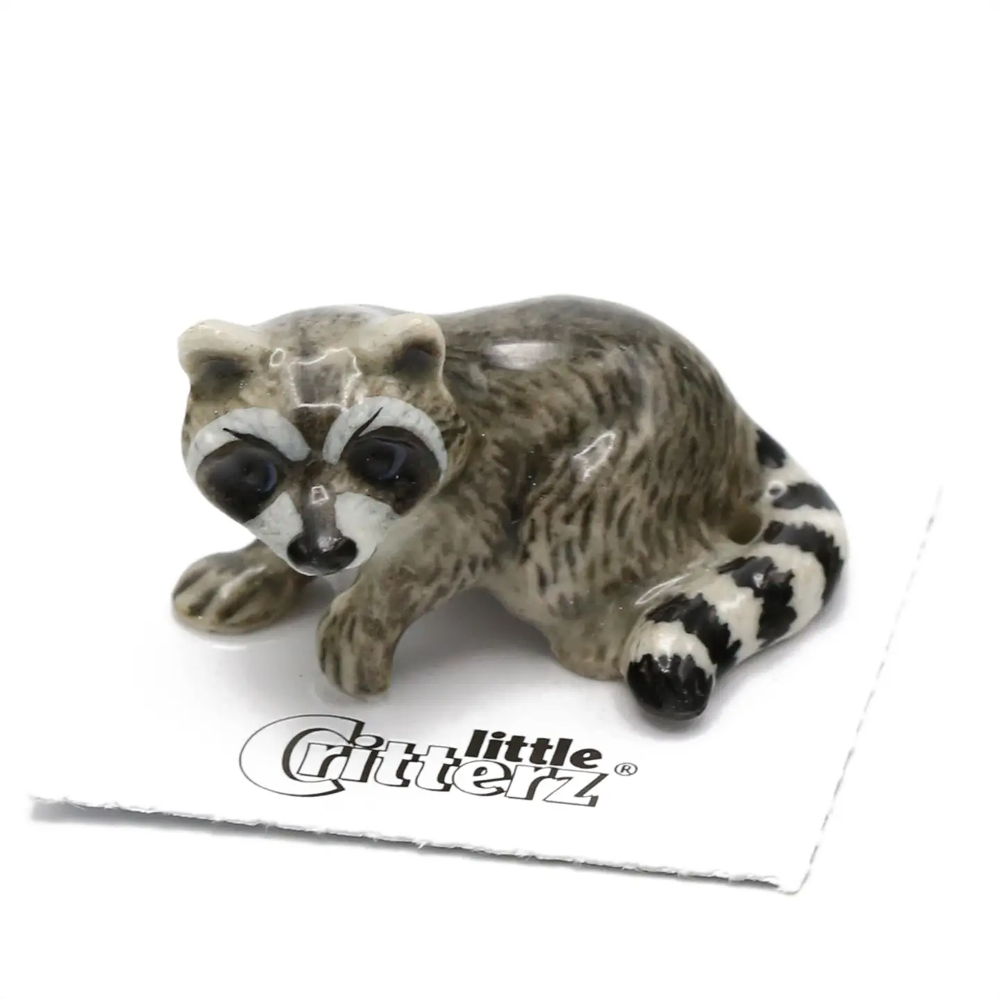 "Bandit" Raccoon Porcelain Miniature