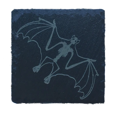 Bat Skeleton Slate Coaster