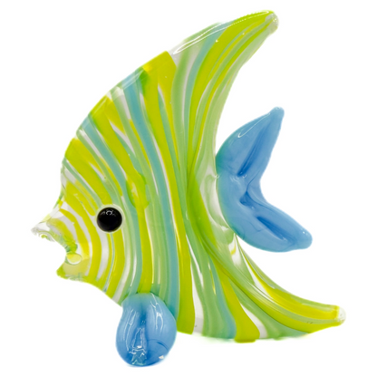Glass Angel Fish