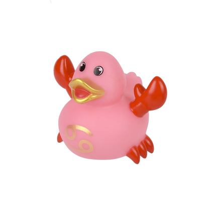 2" Zodiac Rubber Ducks