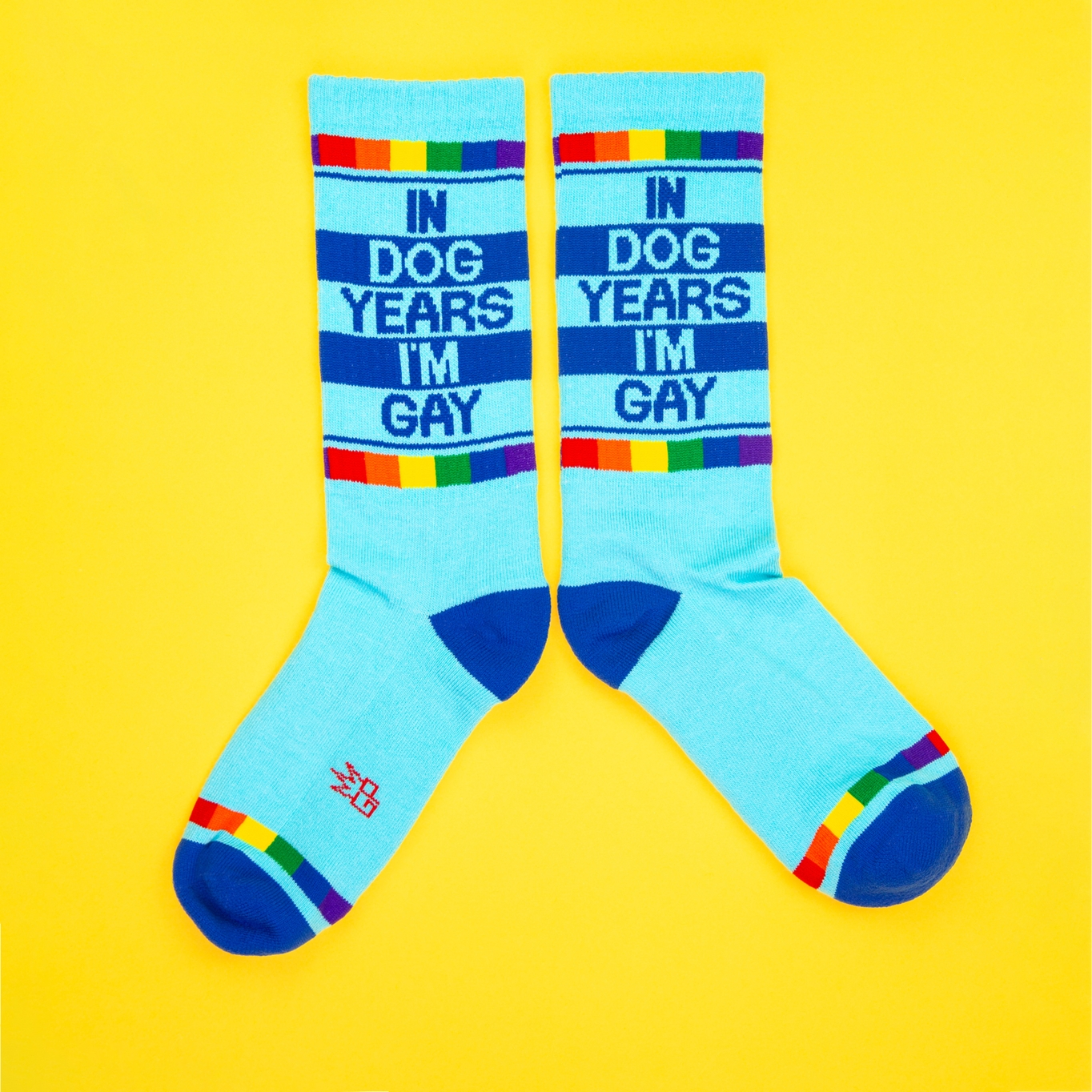 In Dog Years I'm Gay - Unisex Socks