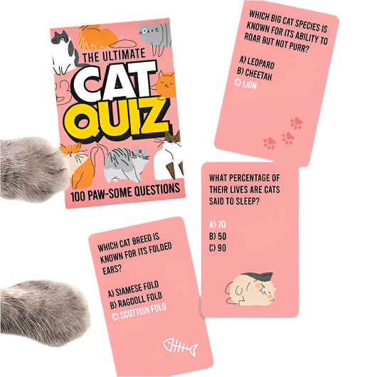 Cat Quiz Cards