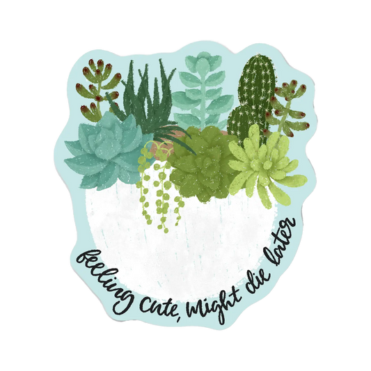 Feeling Cute, Might Die Later Succulent Sticker