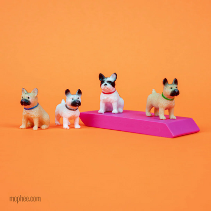 Itty Bitty French Bulldogs