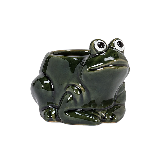 Crouched Frog Planter