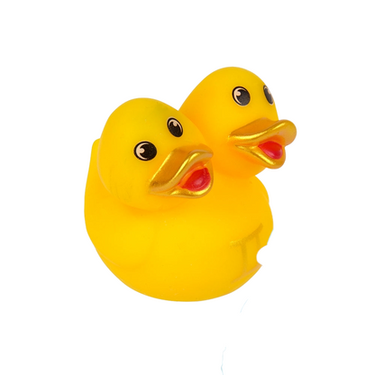 2" Zodiac Rubber Ducks