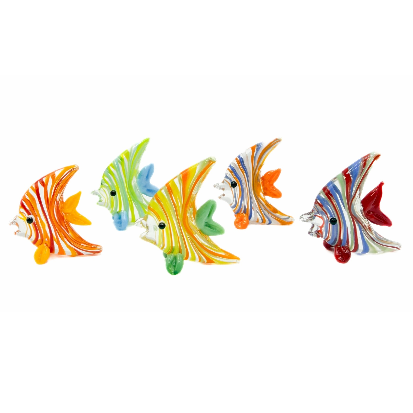 Glass Angel Fish