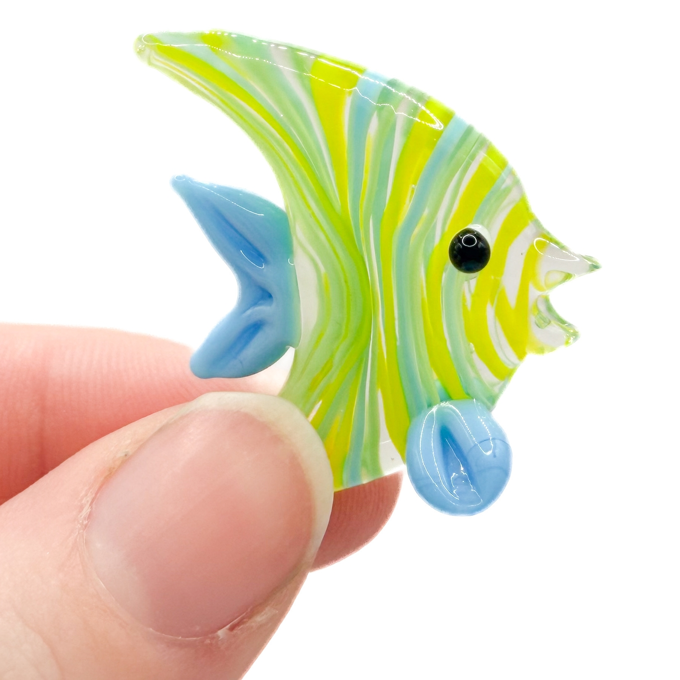 Glass Angel Fish
