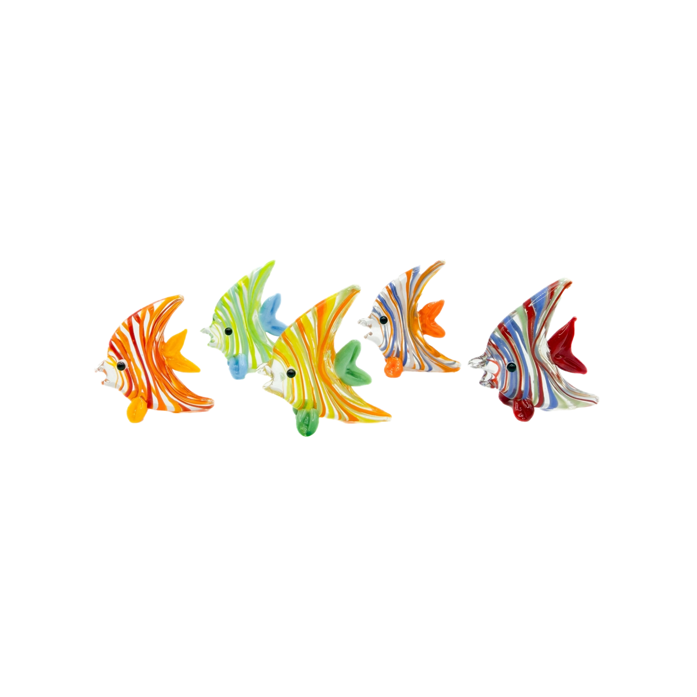 Glass Angel Fish