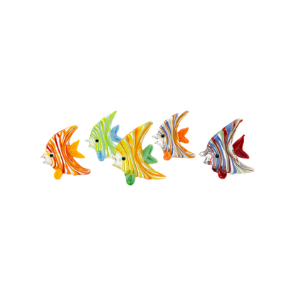 Glass Angel Fish