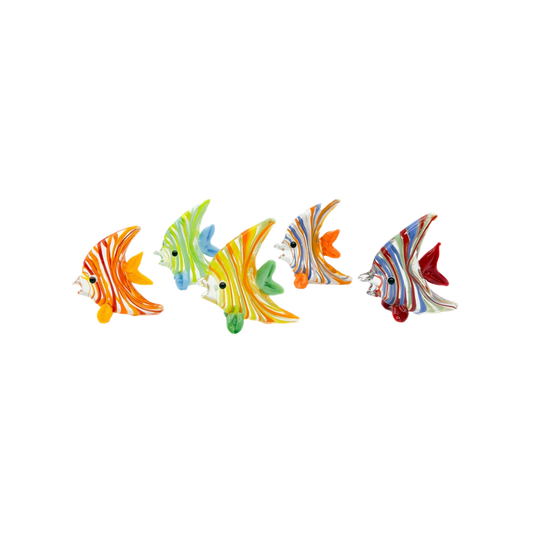 Glass Angel Fish