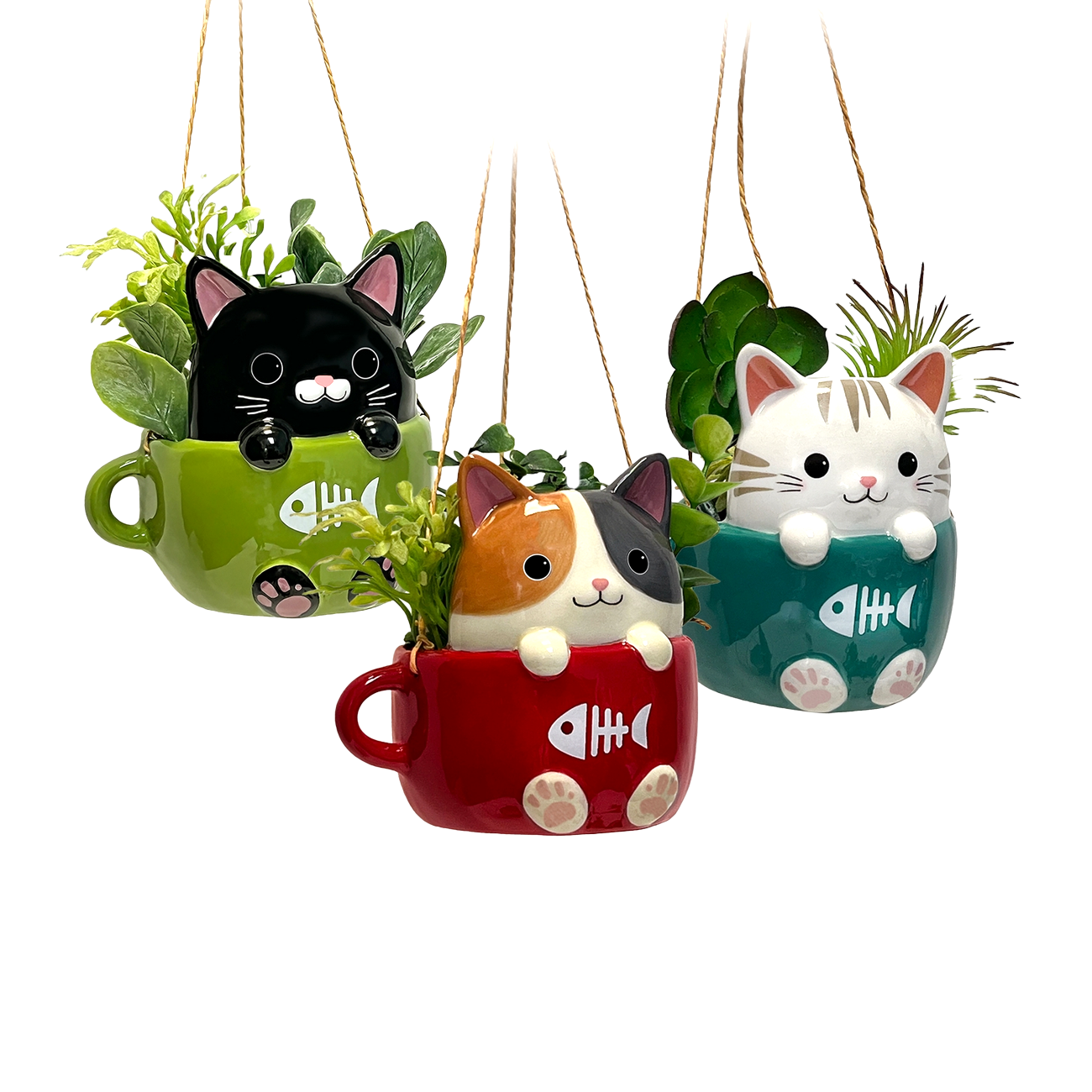 Cats in Cups Mini Hanging Planters