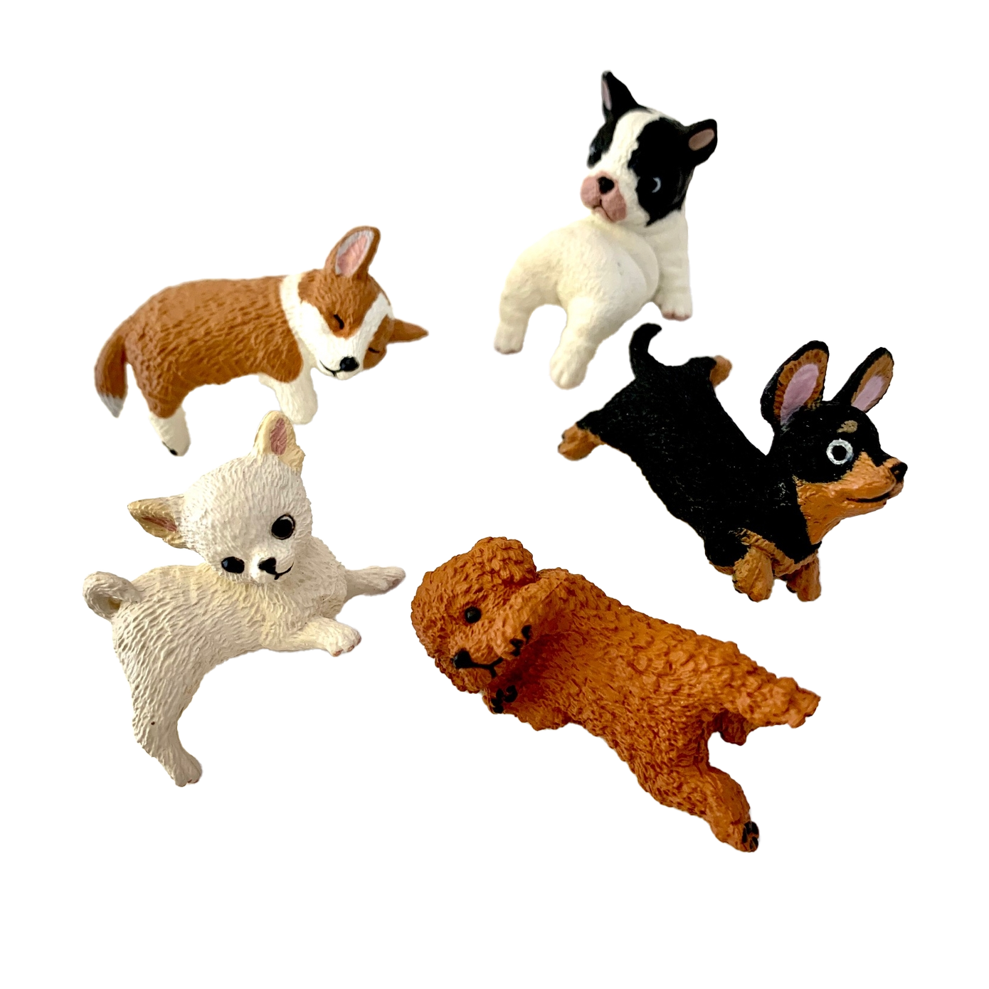 Playful Hanging Dogs Blind Box