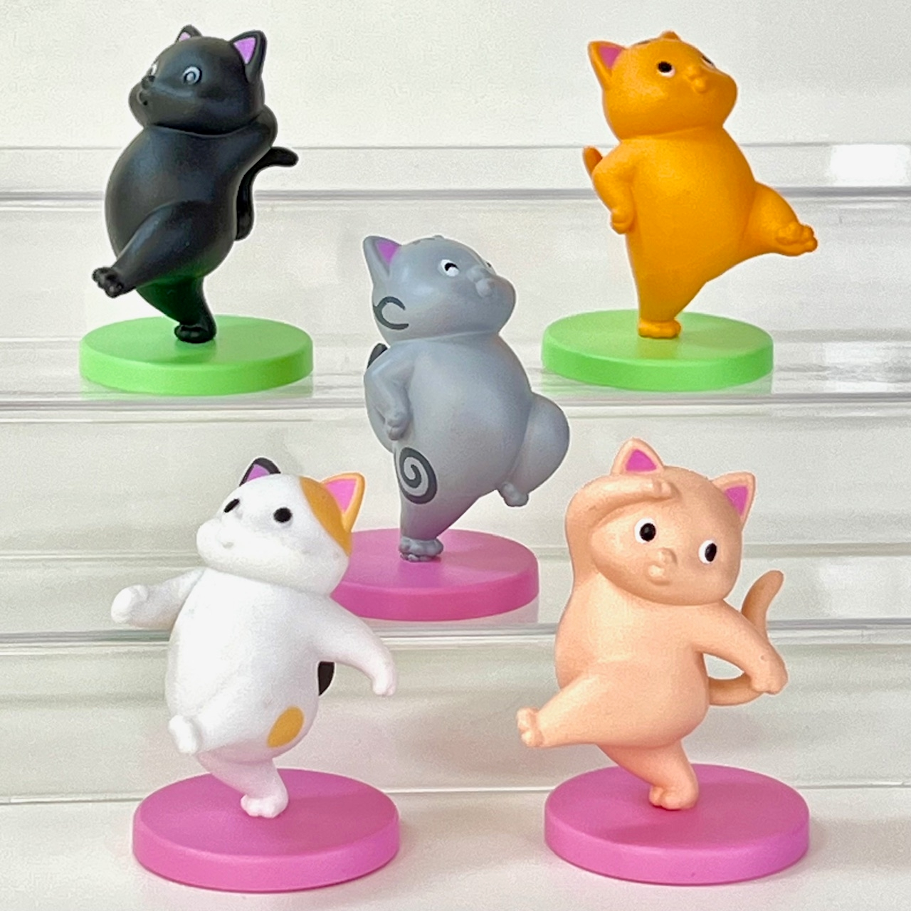 Happy Day Cats Blind Box