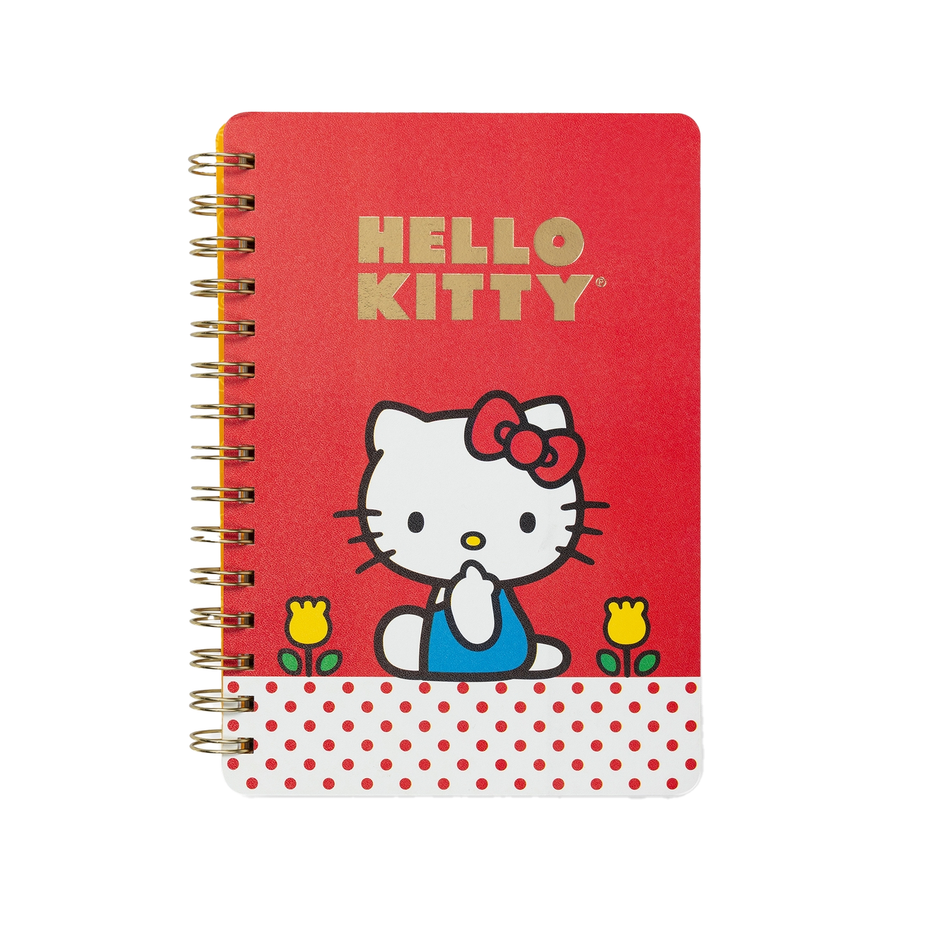 Retro Hello Kitty Notebook