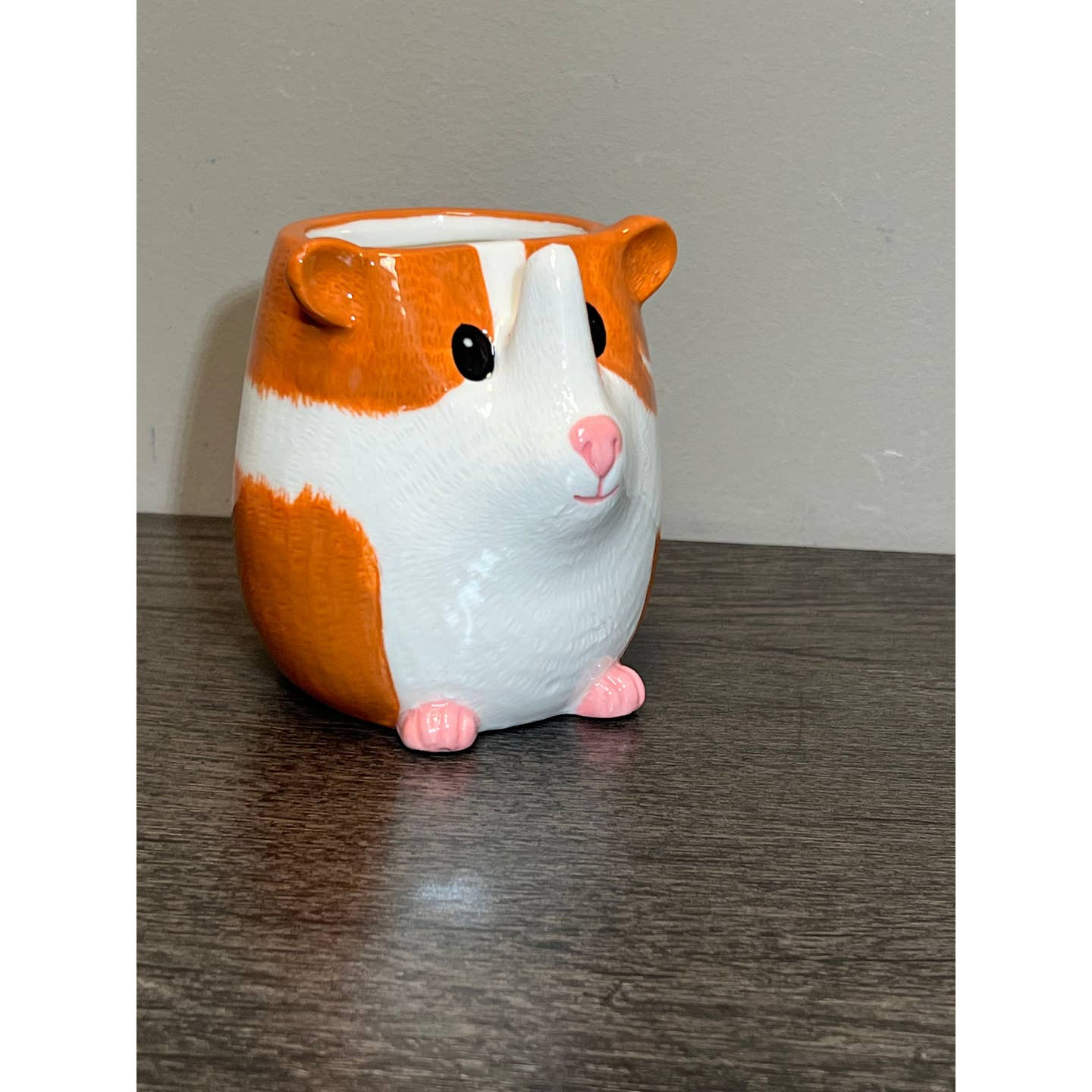 Guinea Pig Hold All & Planter