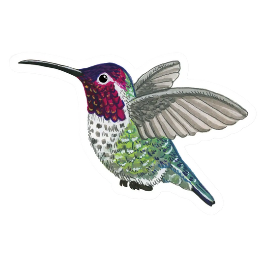 Hummingbird Sticker